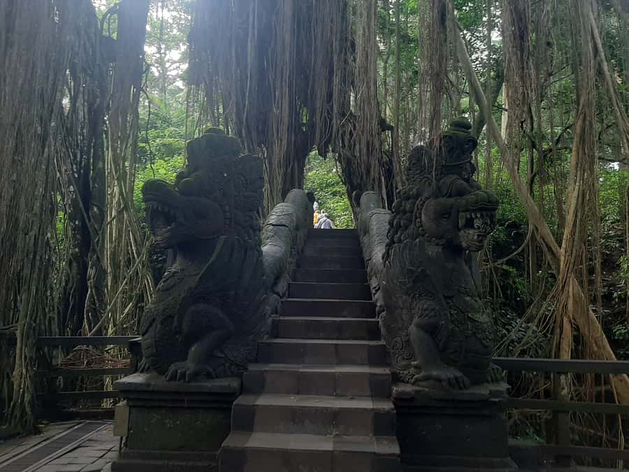 Ubud: Monkey Forest, Rice Terrace, and Waterfall - Practical Aspects and Tour Details