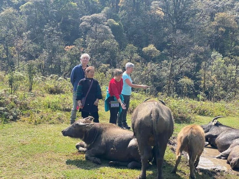 Sapa in 3 Days  Trekking, Local Villages & Mountain Views - Sapa in 3 Days: Trekking, Local Villages & Mountain Views