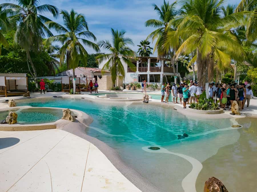 Cartagena: Palmarito Beachclub with Pool, Kayak and paddle! - Authentic Experiences and Guest Perspectives