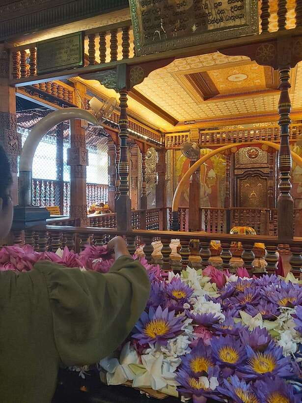 From Colombo: Kandy, Pinnawala and Tea Factory Full-Day Trip - Final Thoughts