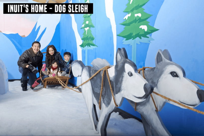 Snow City Singapore 1-Hour Play Ticket - Who Will Enjoy This Experience?