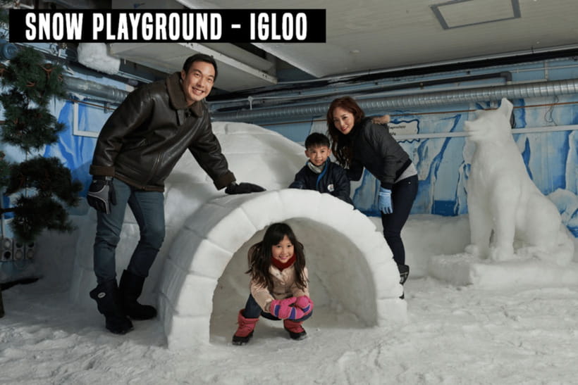 Snow City Singapore 1-Hour Play Ticket - FAQ