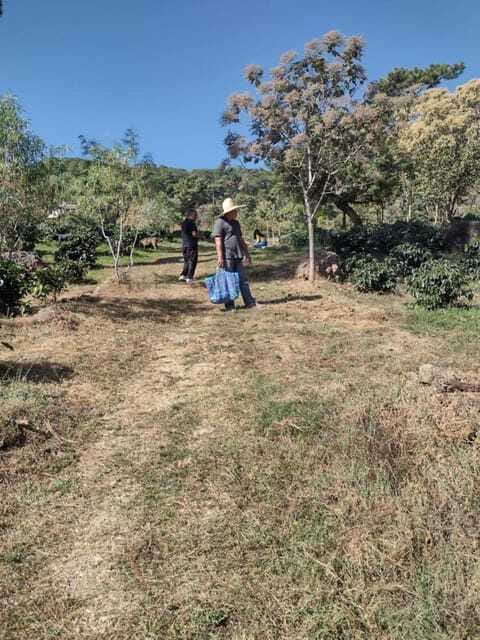 Taxco: Organic Coffee Garden Experience - Final Thoughts