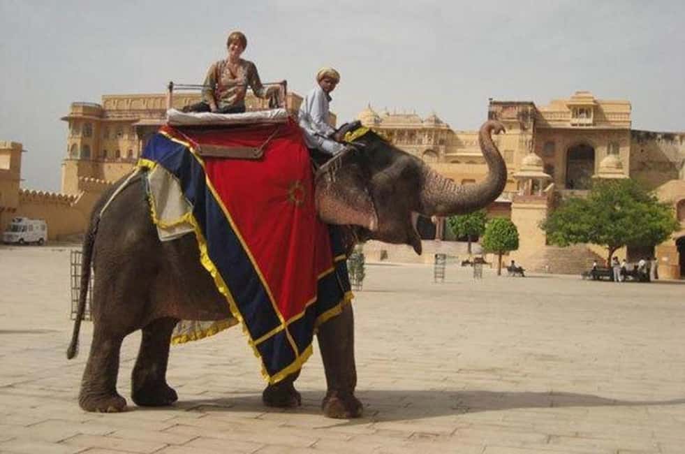 Jaipur Tour ( Pink City ) by Car From Delhi - All Inclusive - The Convenience of Door-to-Door Service