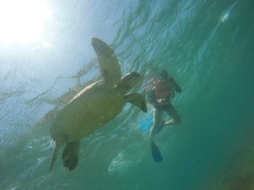 Cebu: Kawasan Canyoneering & Sardines Run and Turtle Chase - Kawasan Canyoneering Adventure