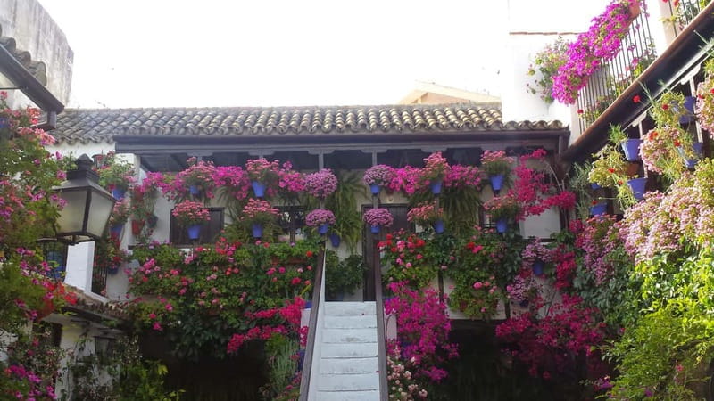 From Madrid: Cordoba and Mosque Day Trip by High-Speed Train - Who Should Book This Tour?