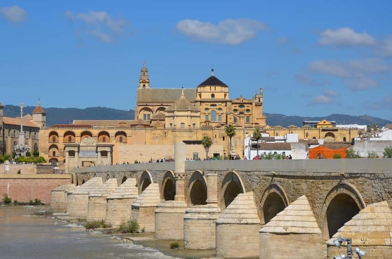 From Madrid: Cordoba and Mosque Day Trip by High-Speed Train - A Deep Dive into the Experience