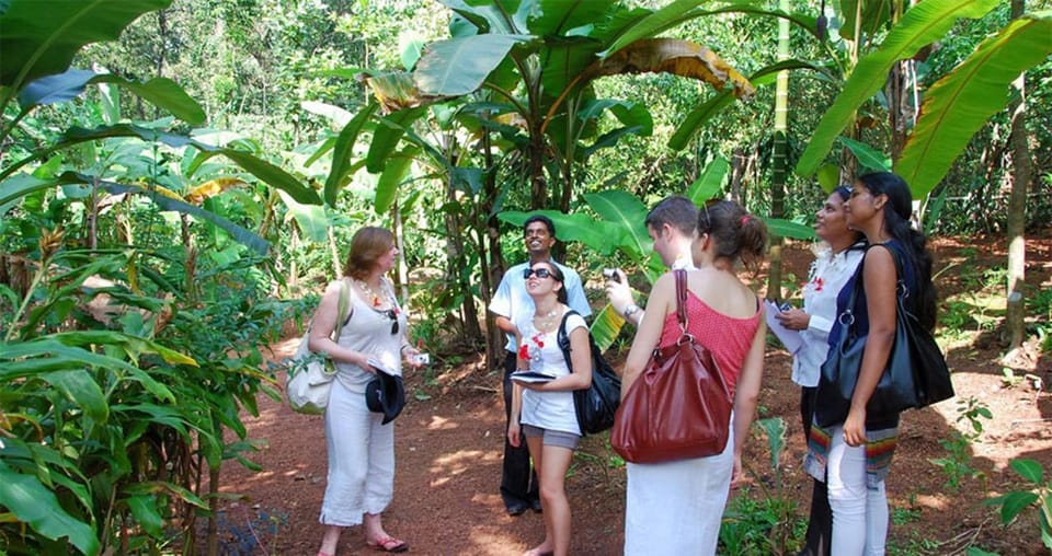 Munnar Local Sightseeing (Adventure Spots) - A Closer Look at What to Expect in the Munnar Local Sightseeing Tour