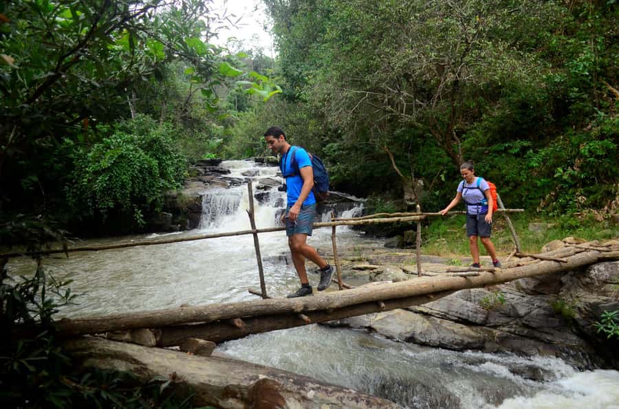 One day hiking tour in Chaing Mai - What You’ll Love and What to Consider