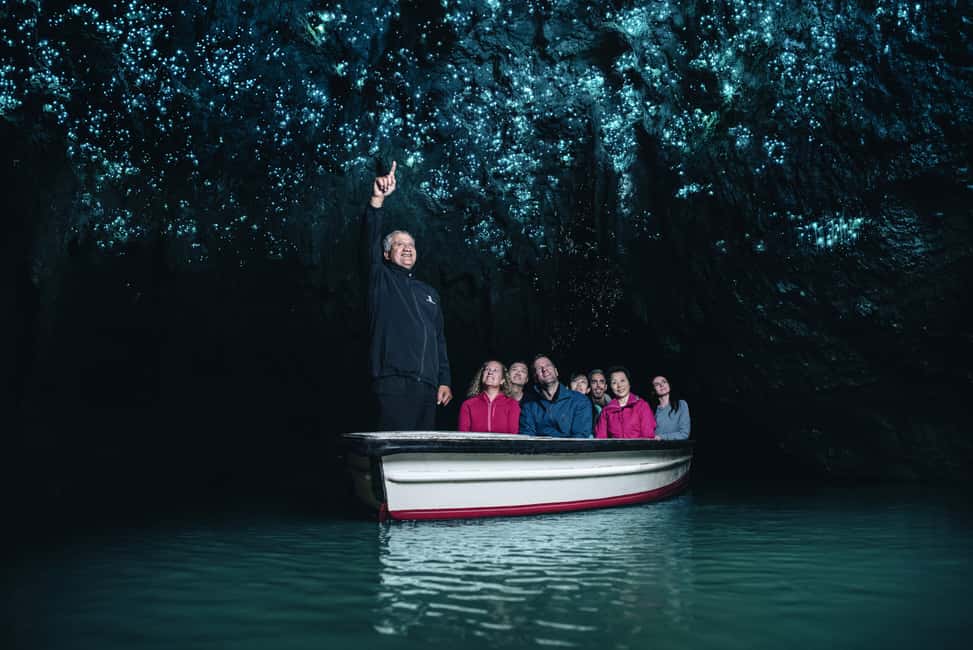 From Auckland: Hobbiton Movie Set and Waitomo Caves Tour - Who This Tour Is Best For