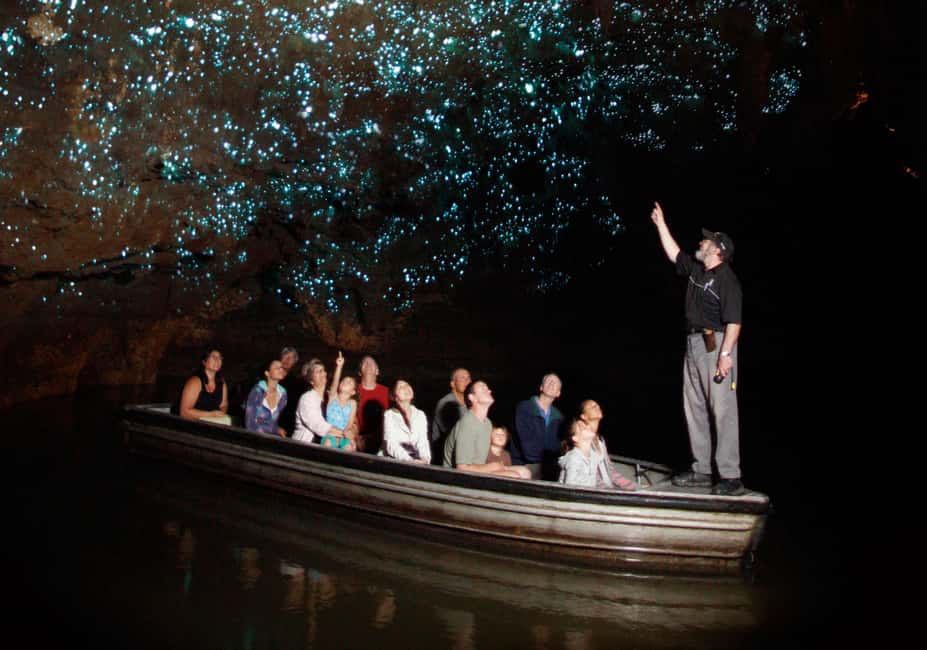From Auckland: Hobbiton Movie Set and Waitomo Caves Tour - Key Points