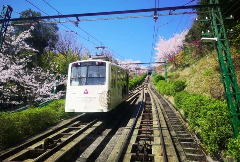 From Osaka/Kyoto: Amanohashidate Day Tour with Lunch - Final Thoughts