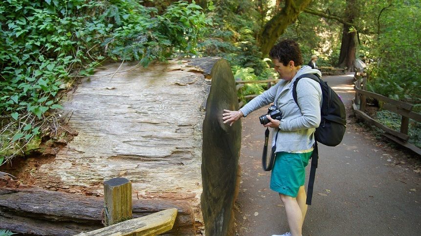 SF: Guided Muir Woods Tour & Hop-On Hop-Off Tour (Save 15%) - Key Points