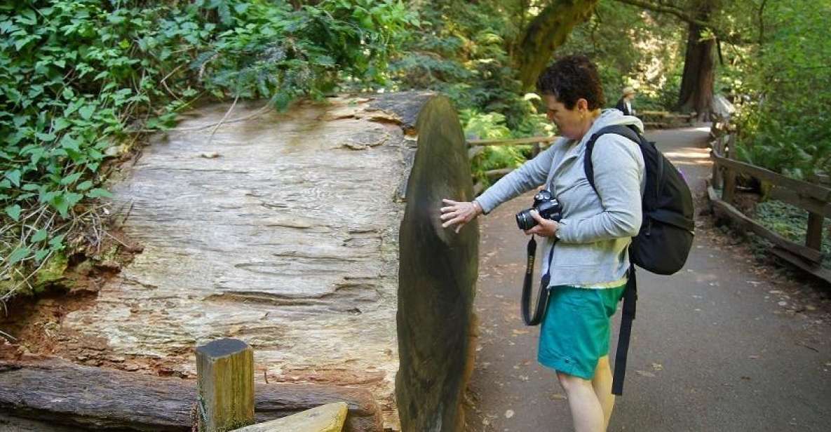 SF: Guided Muir Woods Tour & Hop-On Hop-Off Tour (Save 15%) - Analyzing the Value