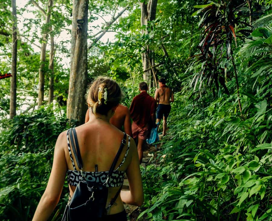 Khao Sok: Private Day Trekking, Jungle Dinner & Night Safari - FAQ