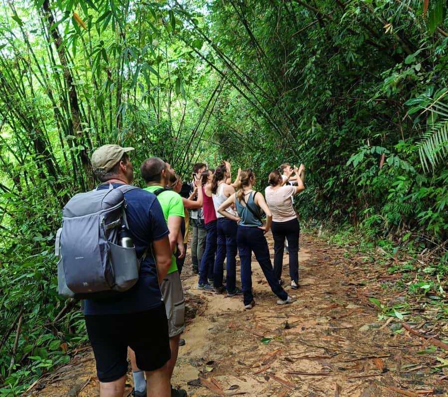Khao Sok: Private Day Trekking, Jungle Dinner & Night Safari - Who Is This Tour Best For?