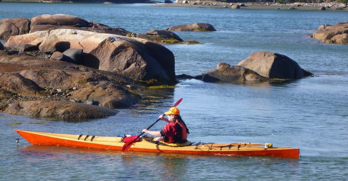 Maine: Penobscot River Guided Kayaking Tour - Exploring Maine’s Penobscot River by Kayak: An Authentic Experience