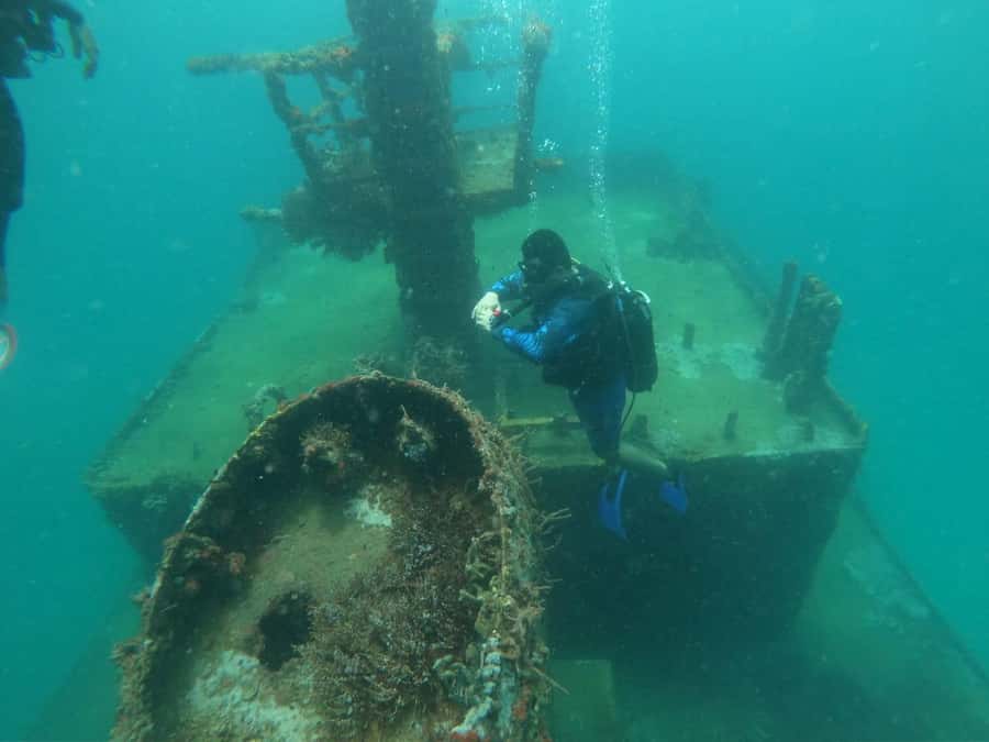Cartagena: Basic Diving for beginners in Rosario Islands - What to Expect on Your Day Out
