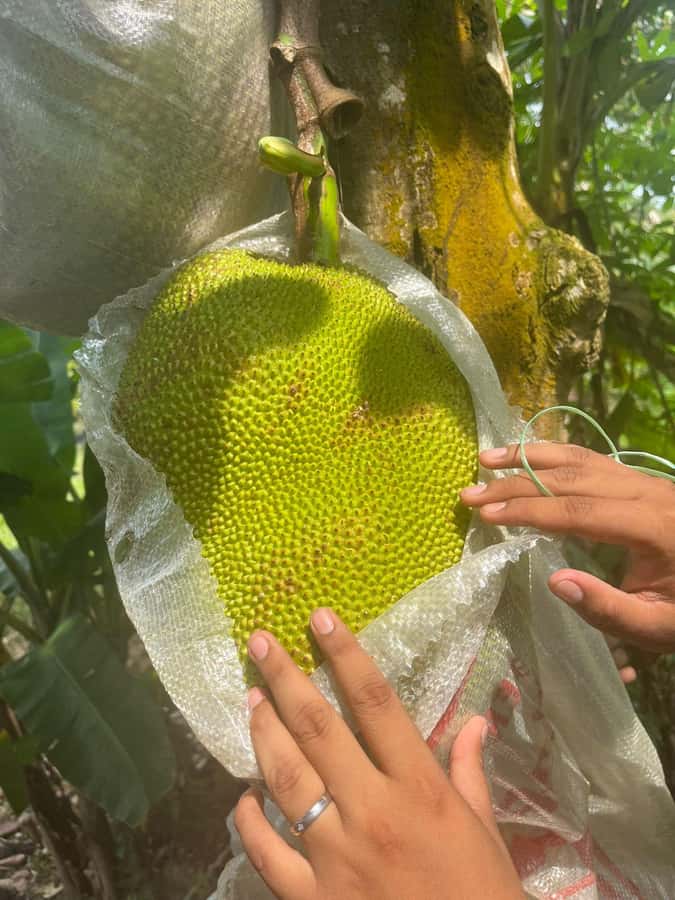 Half Day ATV Tour De Village By D'Bamboo Kamp - What to Expect on the Day