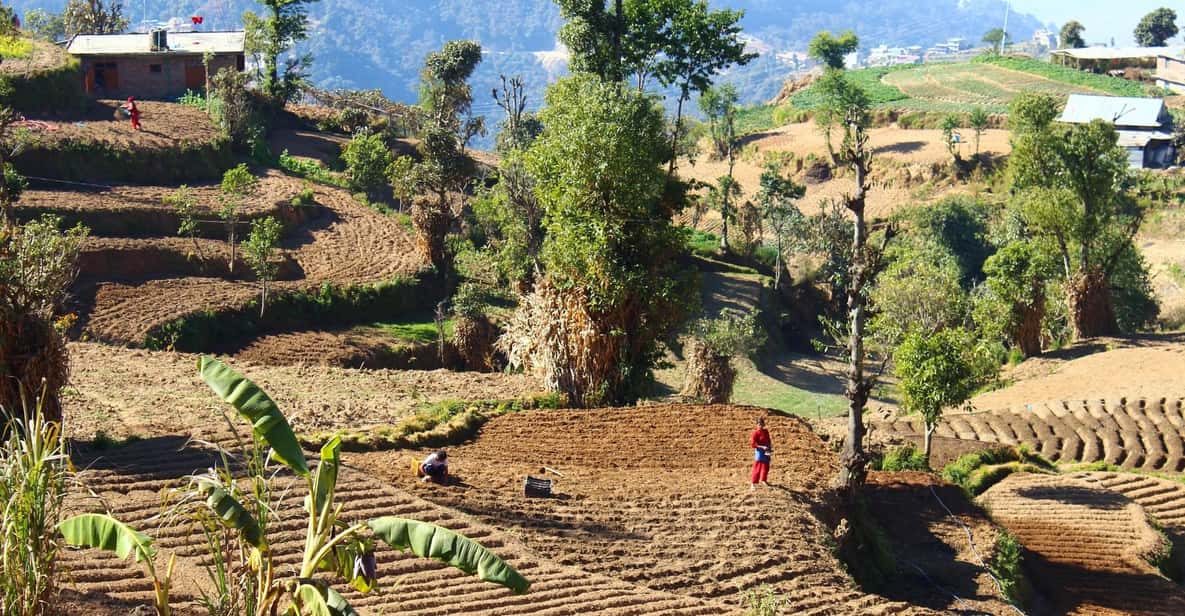 From Kathmandu: Nagarkot Sunrise and Changu Narayan Temple - A Practical Guide to the Nagarkot Sunrise and Changu Narayan Tour
