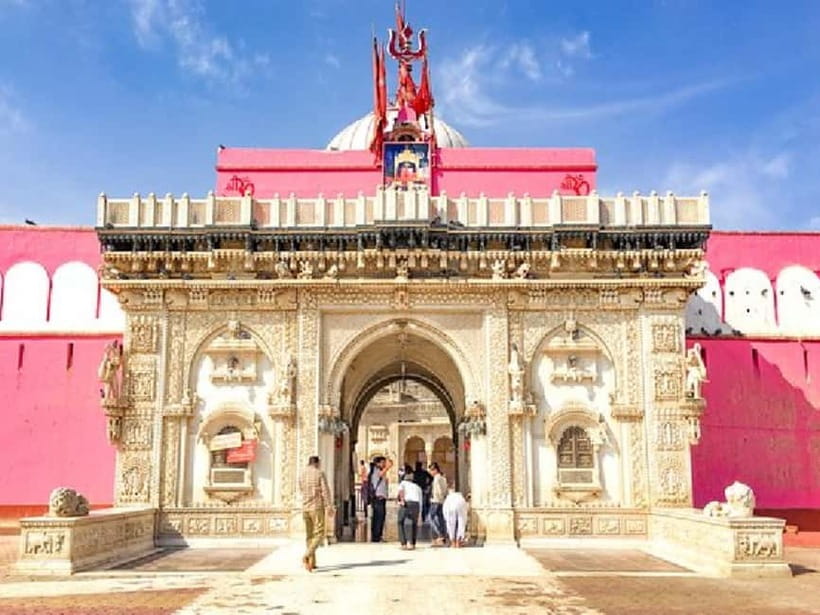 Bikaner Highlights: A Day of Majestic Discovery - Analyzing the Value and Cost