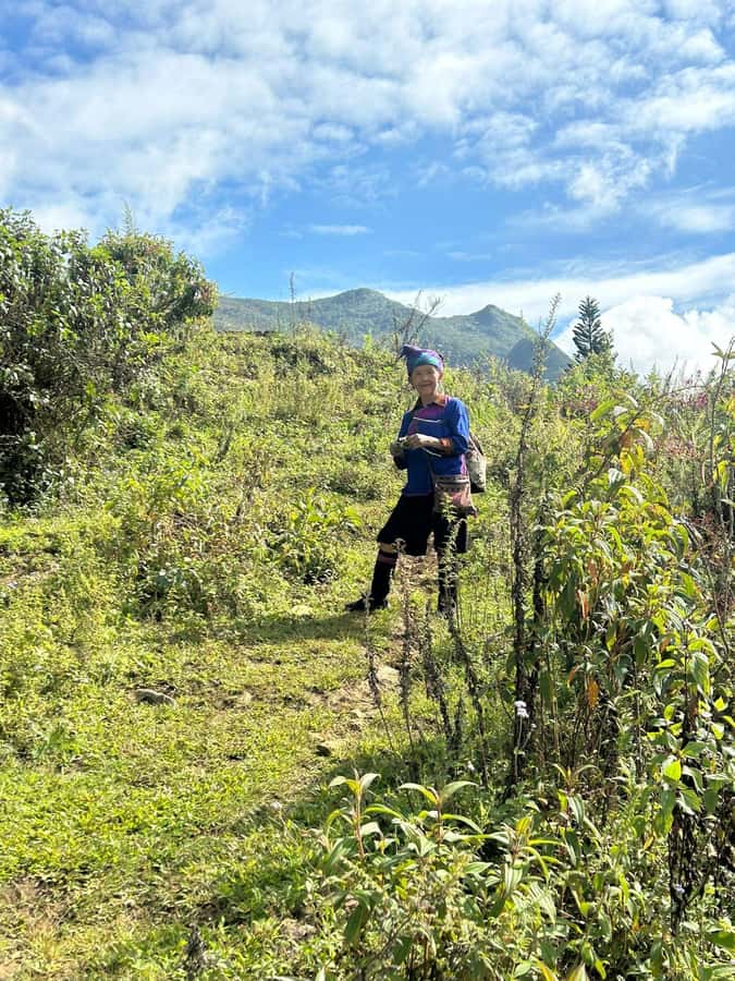 Explore Sapa with Dinh-Sapa Villages & Rice Fields, Culture - Why This Tour Offers Great Value