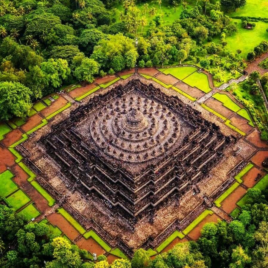 Borobudur Temple & Selogriyo Rice Terraces - A Deep Dive into the Experience