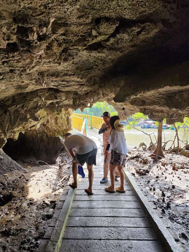 Langkawi : Kilim Mangrove Boat & Fun Kayak Tour with Lunch - An In-Depth Look at the Langkawi Mangrove Tour