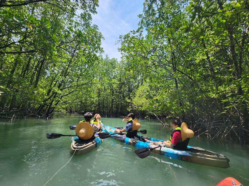 Langkawi : Kilim Mangrove Boat & Fun Kayak Tour with Lunch - Good To Know