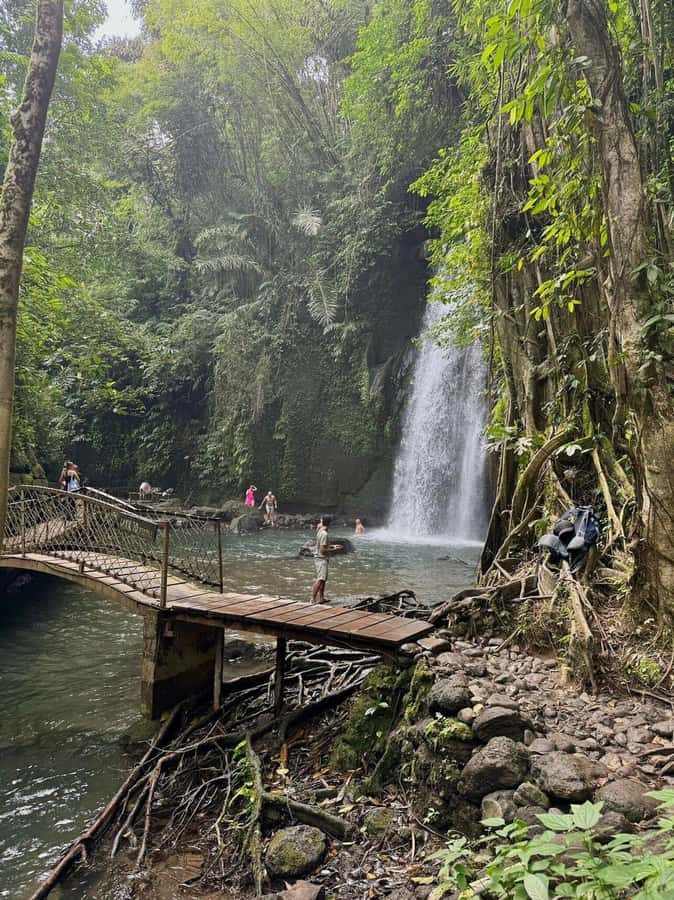 Private Ubud Tour: Sacred Monkeys, Coffee, Temple, Waterfall - Sacred Monkey Forest Sanctuary