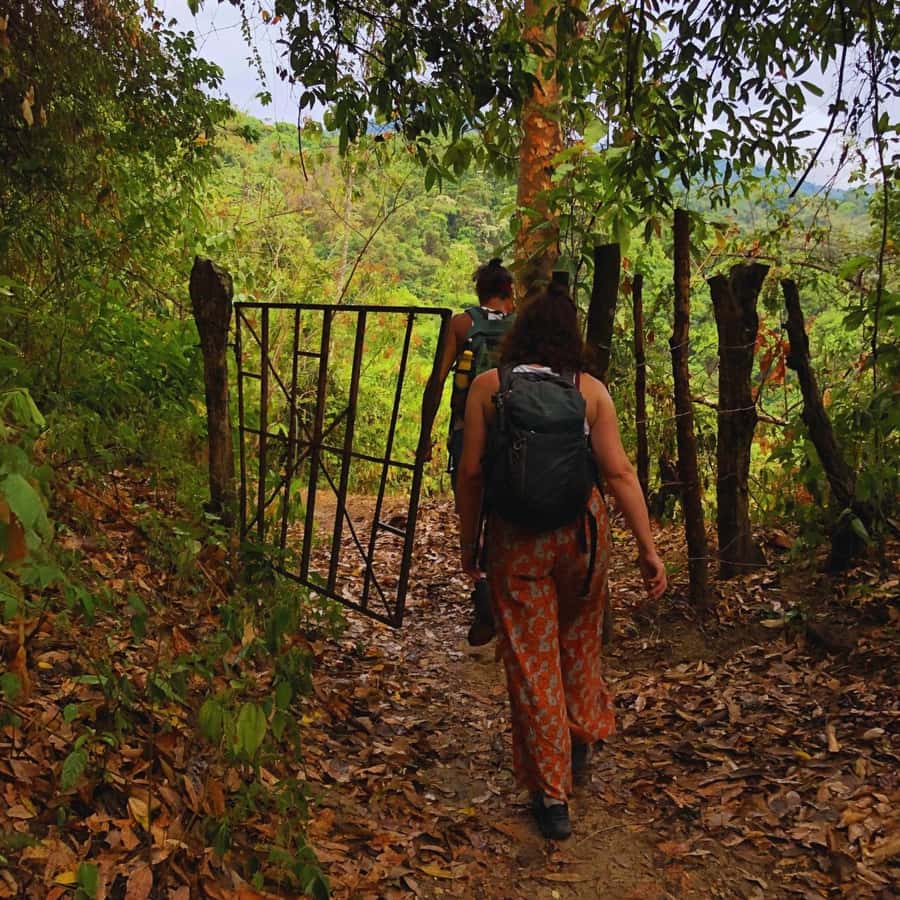 Coffee, Cocoa and Trekking Tour in Minca: Nature, Crops and Production - Detailed Itinerary Breakdown