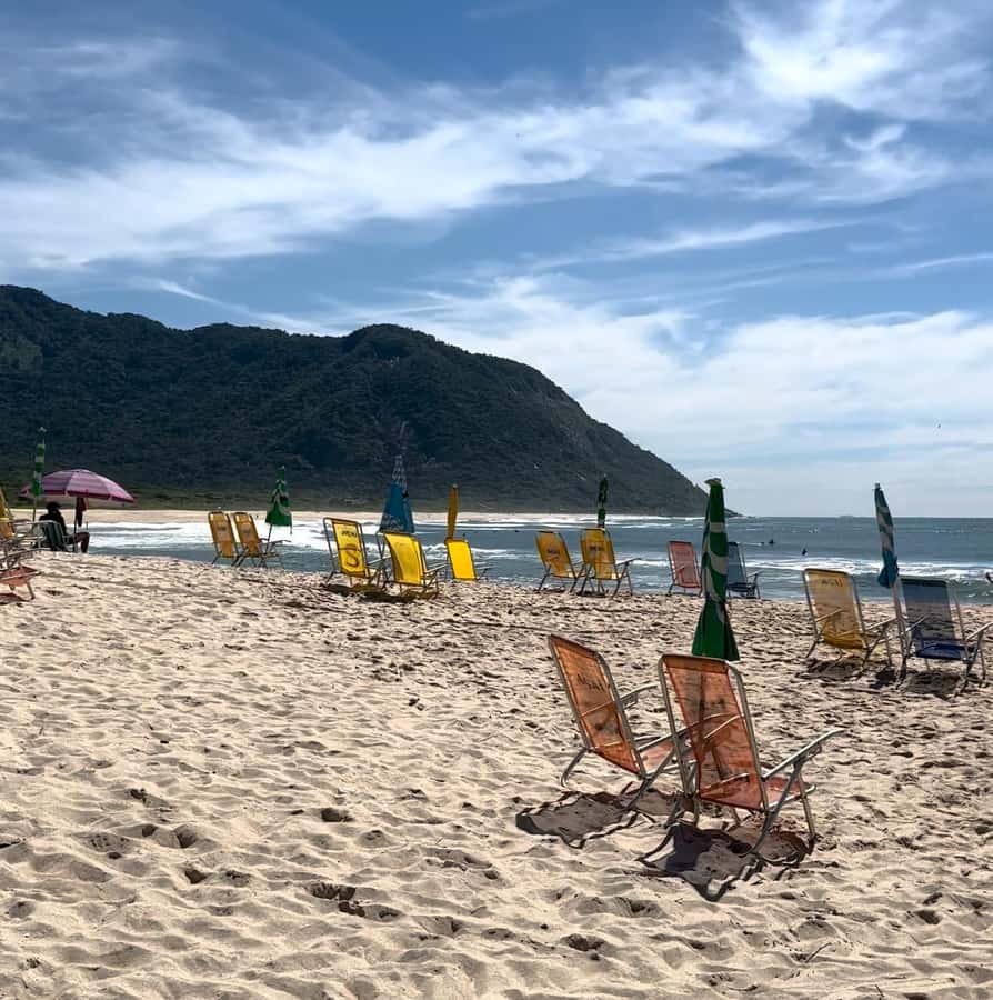 Rio de Janeiro: Pedra do Telégrafo trail and beach stop - Who Will Love This Tour?