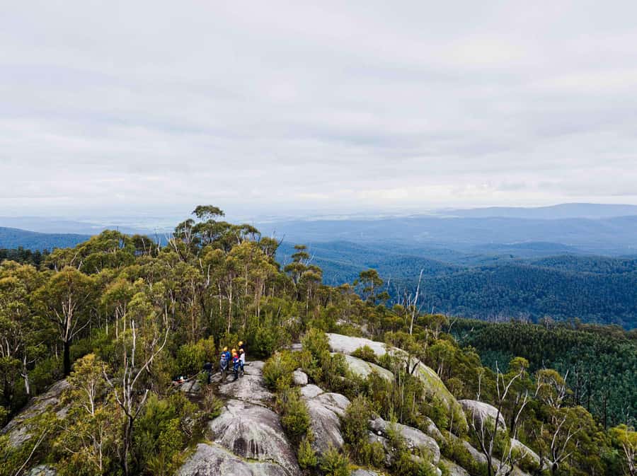 Yarra Valley: Seven Acre Rock Abseiling Adventure - The Abseiling Experience