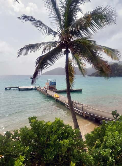 Tobago: Little Tobago Bird Sanctuary Visit and Boat Tour - A Deep Dive into the Tobago Adventure