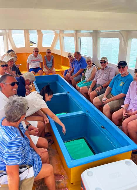 Tobago: Little Tobago Bird Sanctuary Visit and Boat Tour - Key Points