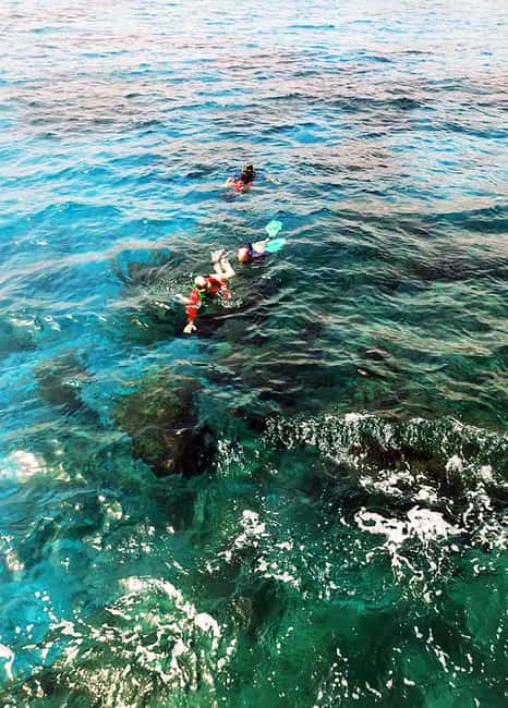 Tobago: Little Tobago Bird Sanctuary Visit and Boat Tour - Practical Details and Tips for Your Day