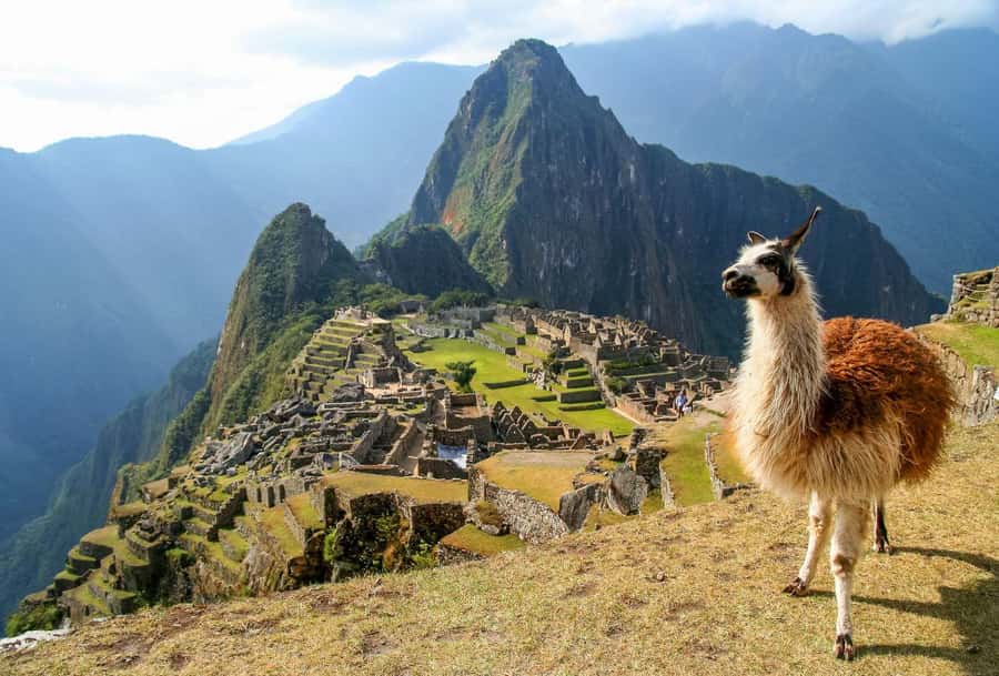 7th wonder Machu Picchu + Huayna Picchu mountain - What Makes This Tour Stand Out?