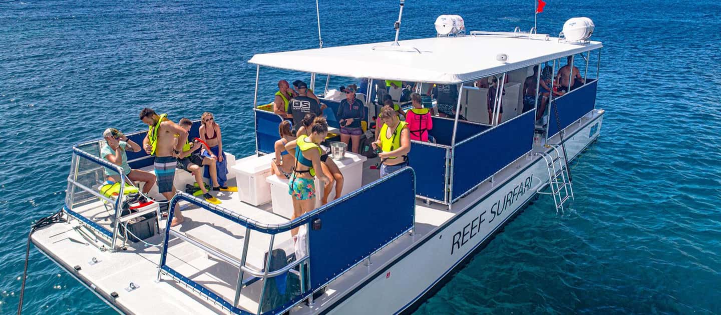 Saona Island Private: +10 People Catamarán - Exploring Saona Island: The Full Experience