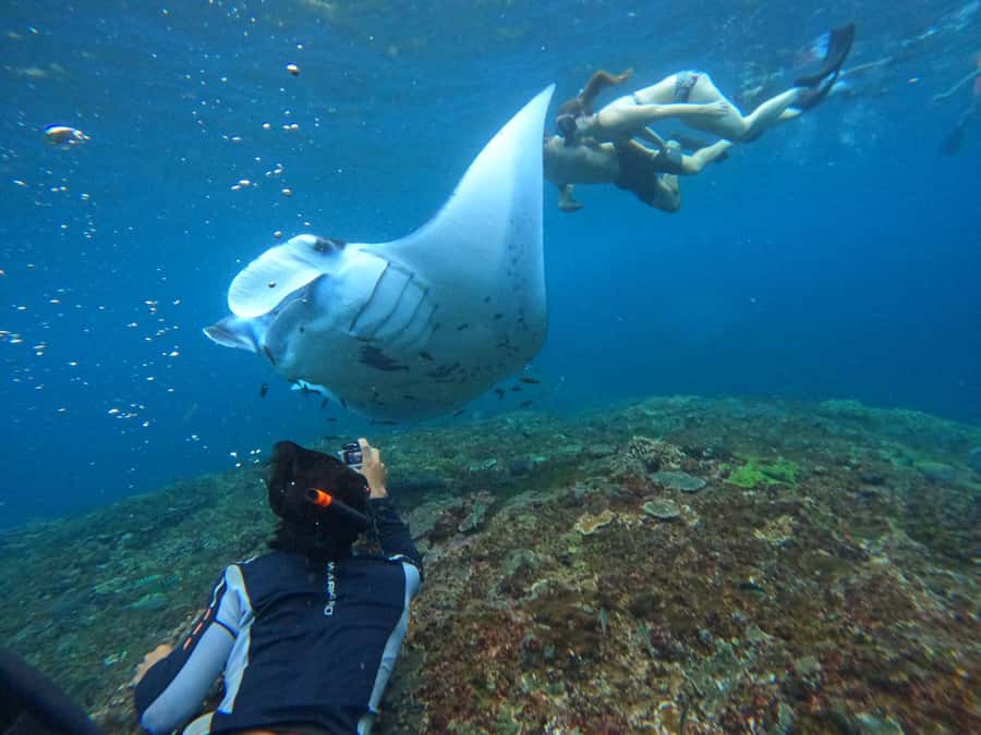 Bali: Nusa Penida Tour with Lunch & Manta Point Snorkeling - Who This Tour Is Perfect For