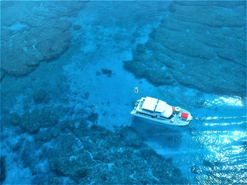 Half-Day Snorkeling Trip to Kerama - The Itinerary and What to Expect