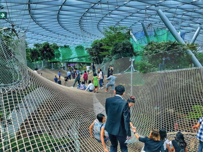 Singapore: Discover Jewel Changi Guided Tour - Who Would Love This Tour?