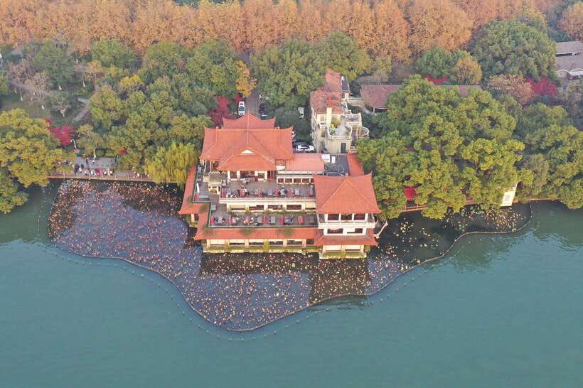 From Shanghai: Hangzhou Private Day Trip by Bullet Train - Longjing Tea Fields