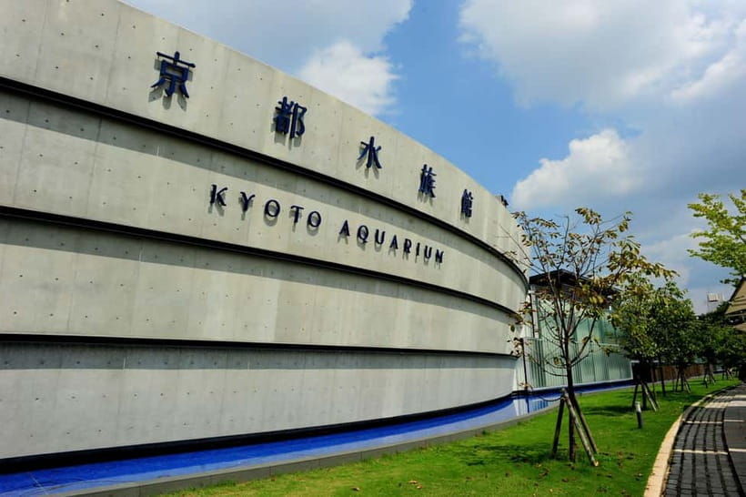 Kyoto Aquarium Admission Ticket - Final Thoughts: Is Kyoto Aquarium Worth Visiting?