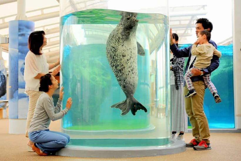 Kyoto Aquarium Admission Ticket - Key Points