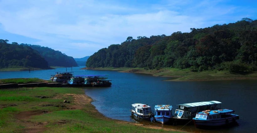 Munnar Hill Station with Periyar Wildlife Tour (03 Days) - FAQ