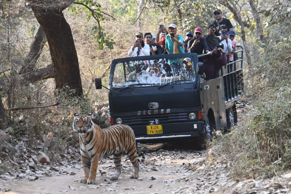 Ranthambore : Tiger Safari Tour in Canter - FAQ