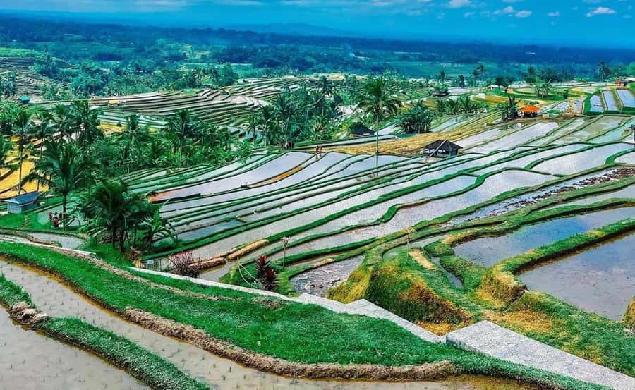 Bali : Ulun Danu Beratan Temple and UNESCO Rice Terrace Tour - Why This Tour Is a Great Choice