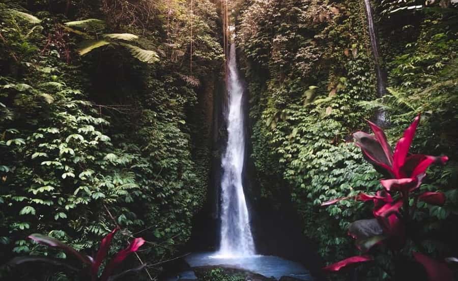 Bali : Ulun Danu Beratan Temple and UNESCO Rice Terrace Tour - An In-Depth Look at the Bali: Ulun Danu Beratan Temple and UNESCO Rice Terrace Tour