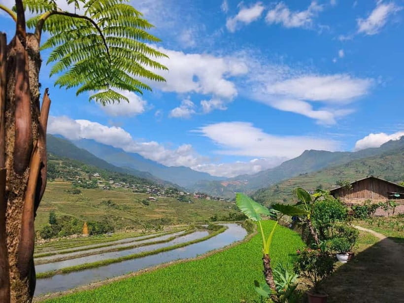 2D1N Trek: Ta Van & Lao Chai Rice Terrace Trails - An In-Depth Look at the Trekking Experience