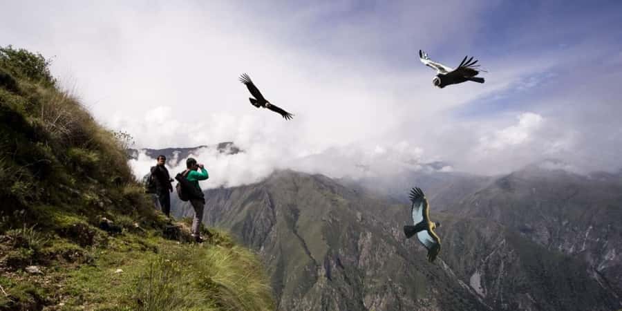 Chonta Viewpoint, Tarawasi & Killarumiyoq Private Tour - Key Points